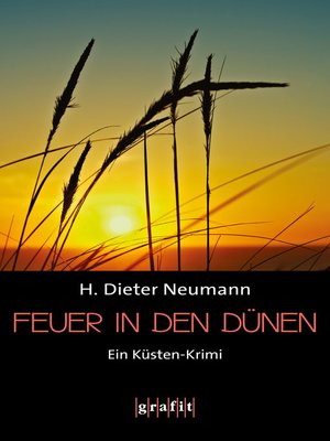 cover image of Feuer in den Dünen